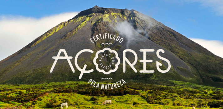 marcacores